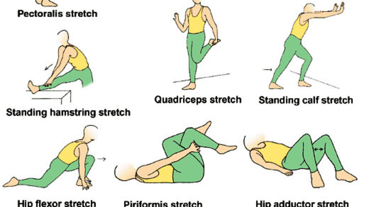 physical therapy exercises for knee injury