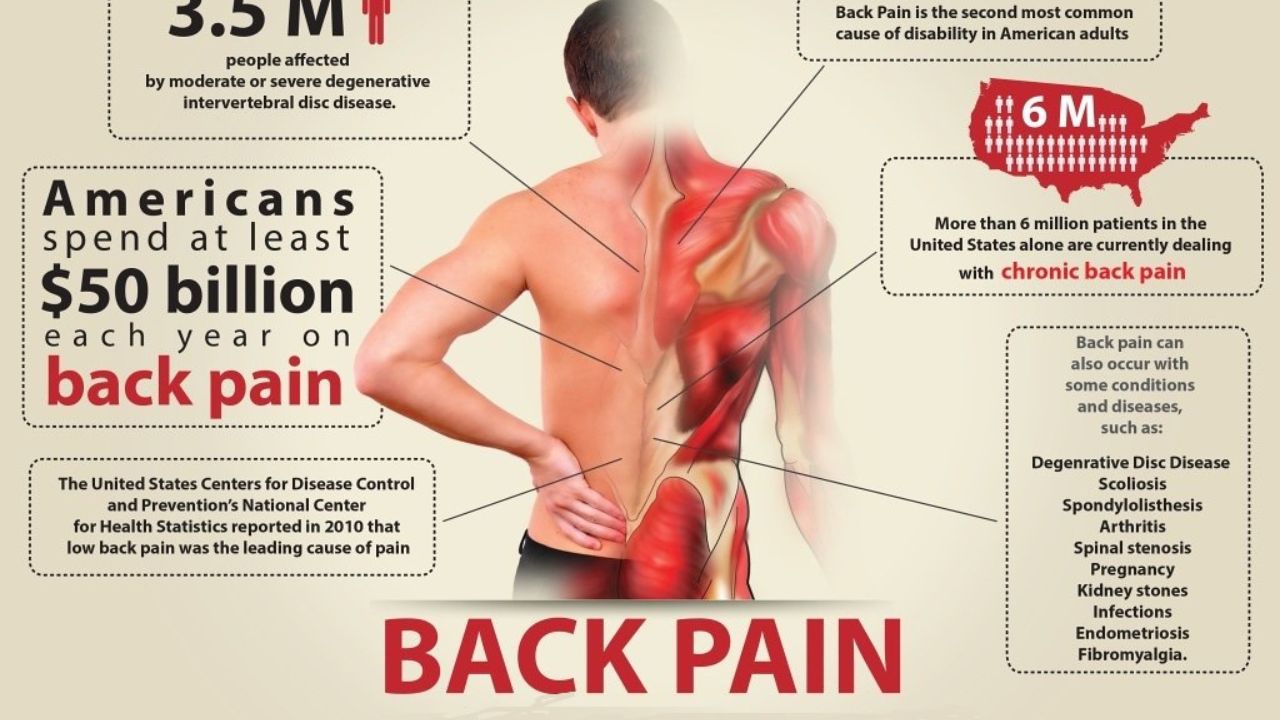 back pain treatment hayward