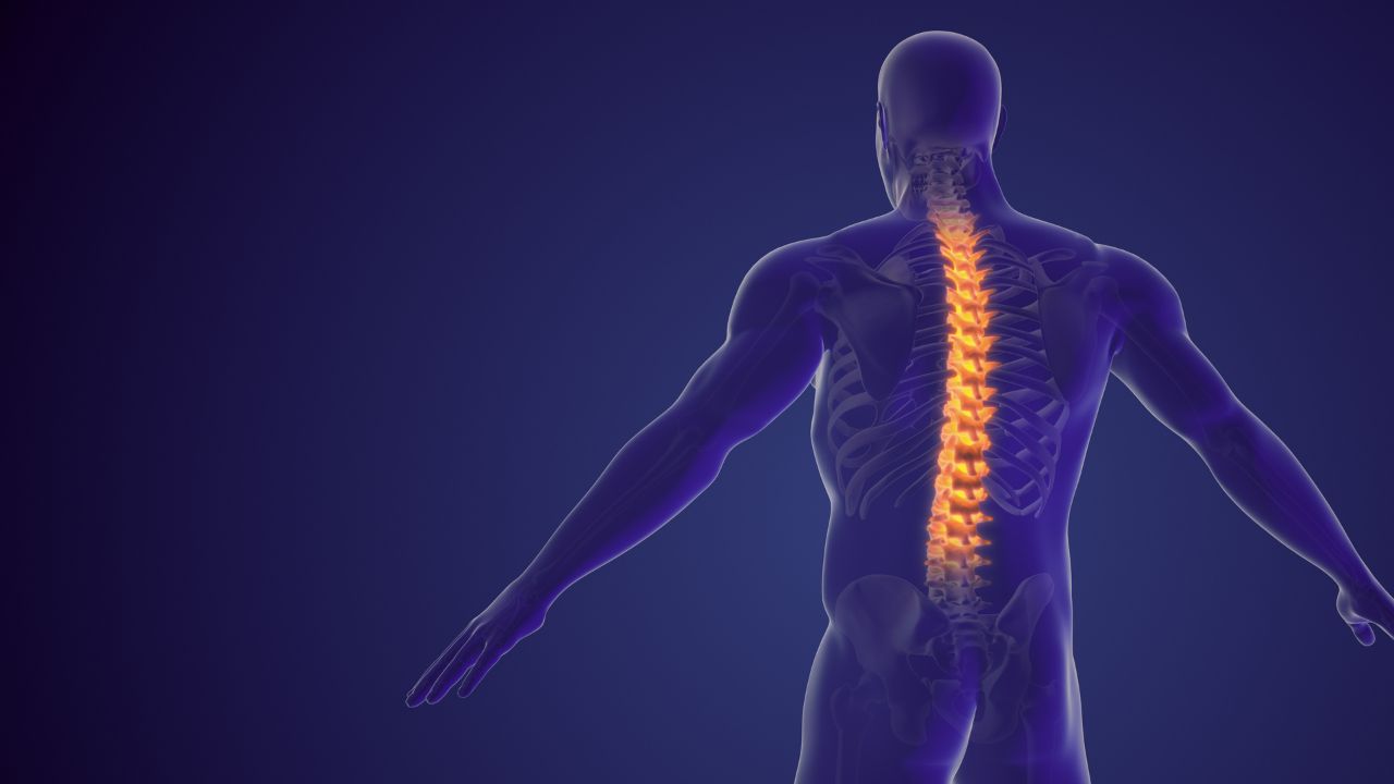 Can Mobility Training Help with Back Pain?